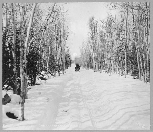  Horse and Sleigh on Valdez Trail to Fairbanks